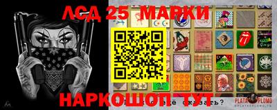 прущие грибы Гатчина