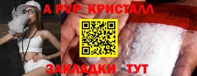 прущие грибы Гатчина
