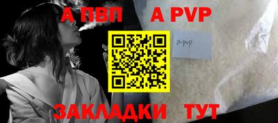 прущие грибы Гатчина