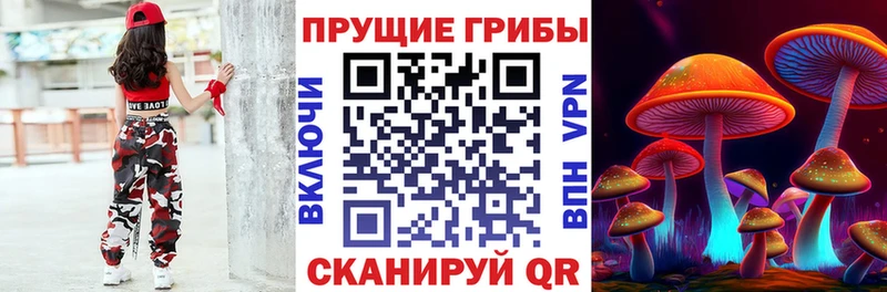 Галлюциногенные грибы Psilocybe  Иваново 
