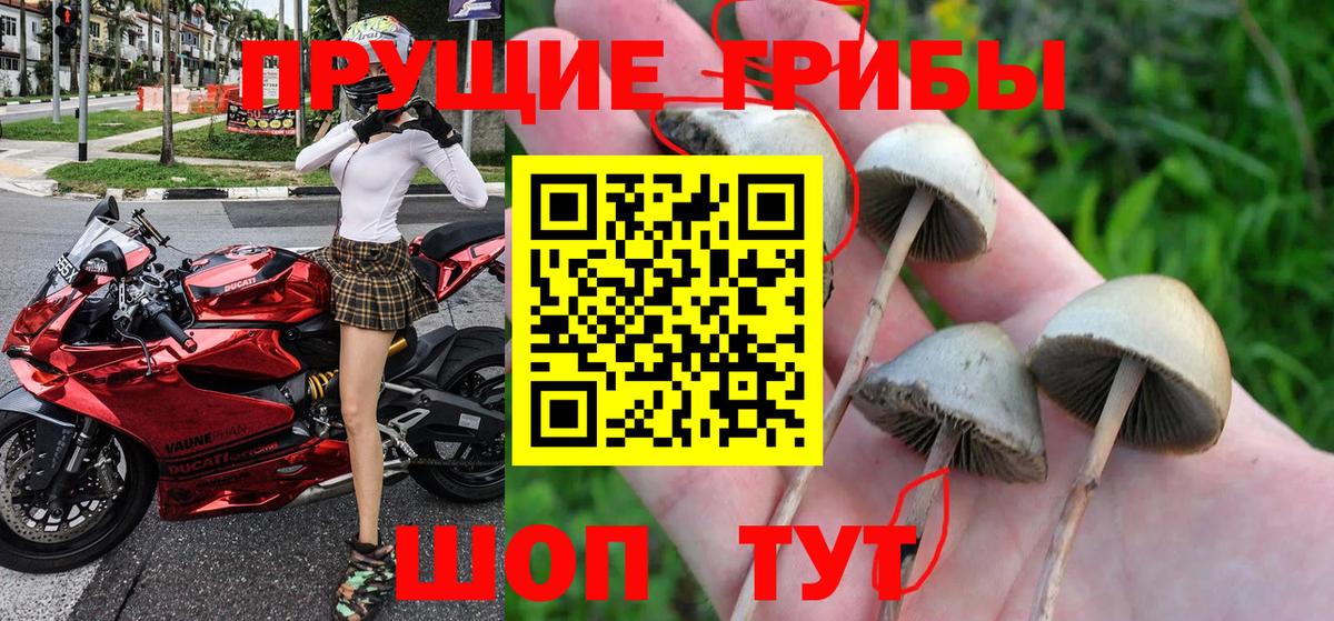 Псилоцибиновые грибы MAGIC MUSHROOMS  Вход с VPN  Галлюциногенные грибы мухоморы  Иваново 