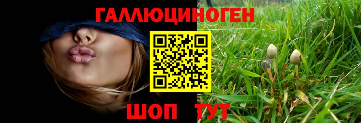 наркотики  Галлюциногенные грибы Magic Shrooms  Иваново  Псилоцибиновые грибы ЛСД 